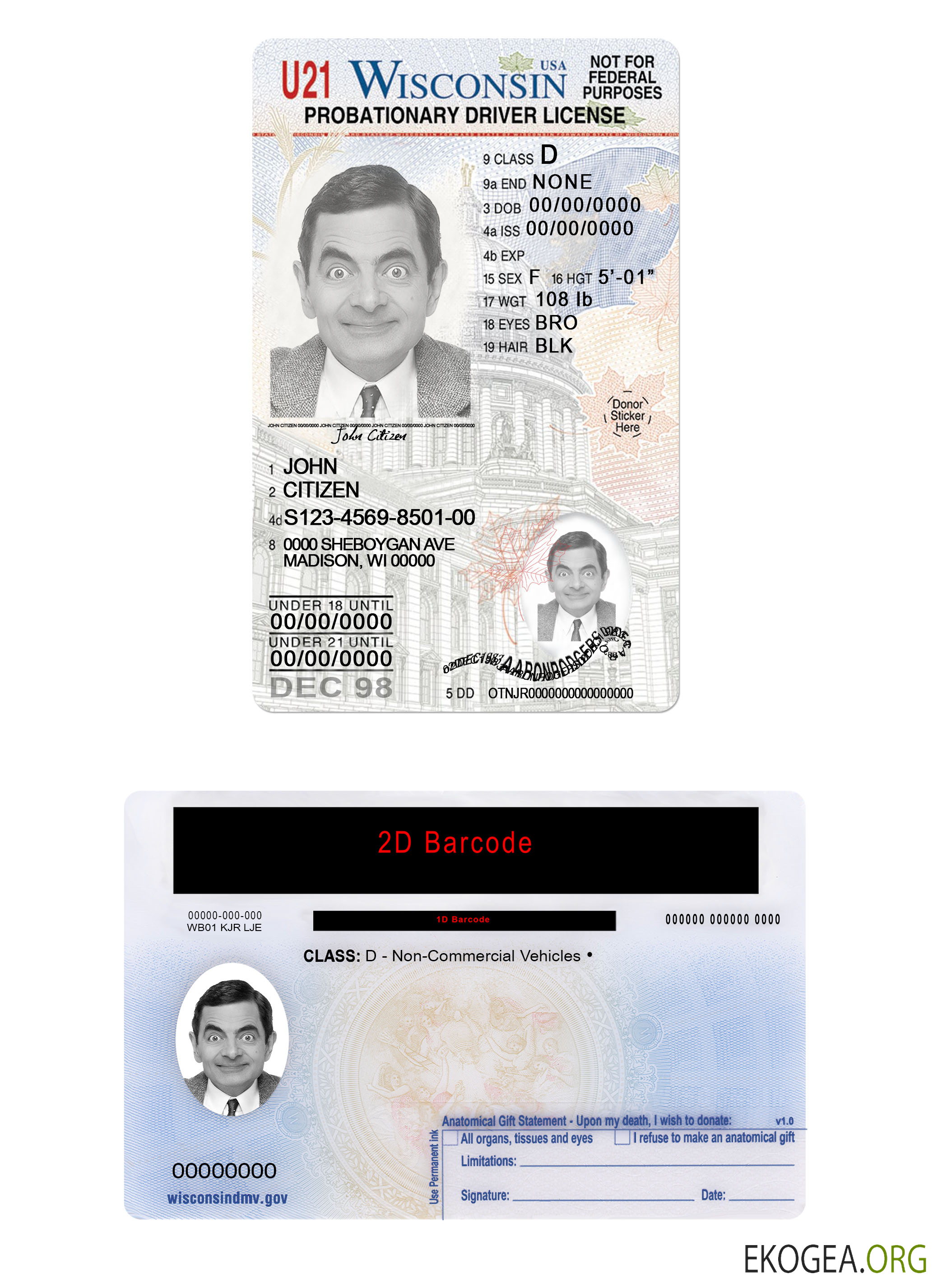 Usa Wisconsin driving license under 21 template